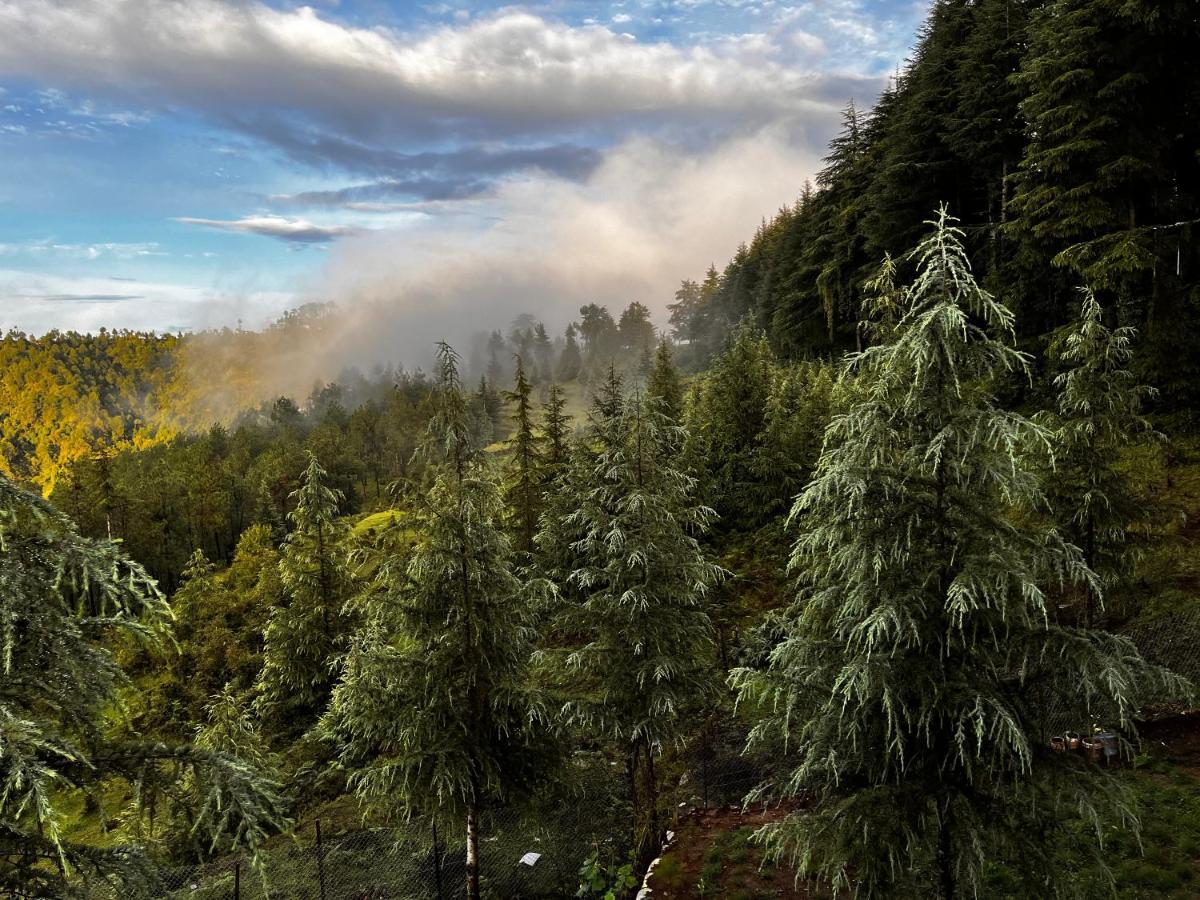 The Roots Homestay Almora Exterior foto