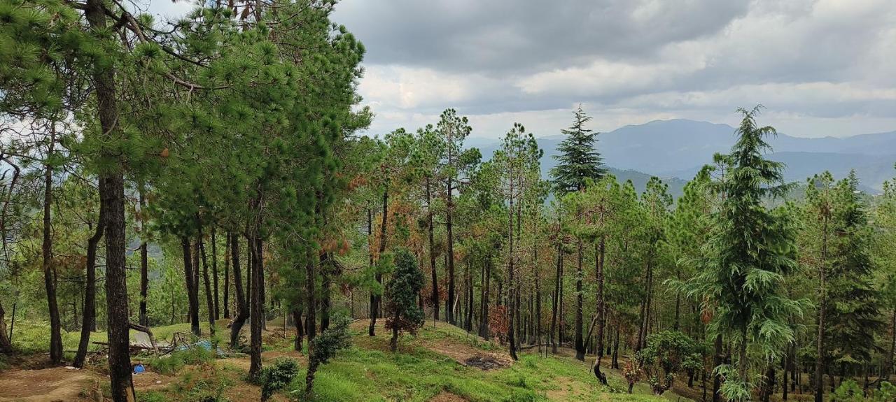 The Roots Homestay Almora Exterior foto